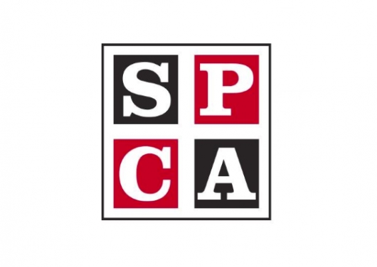 SPCA Montréal